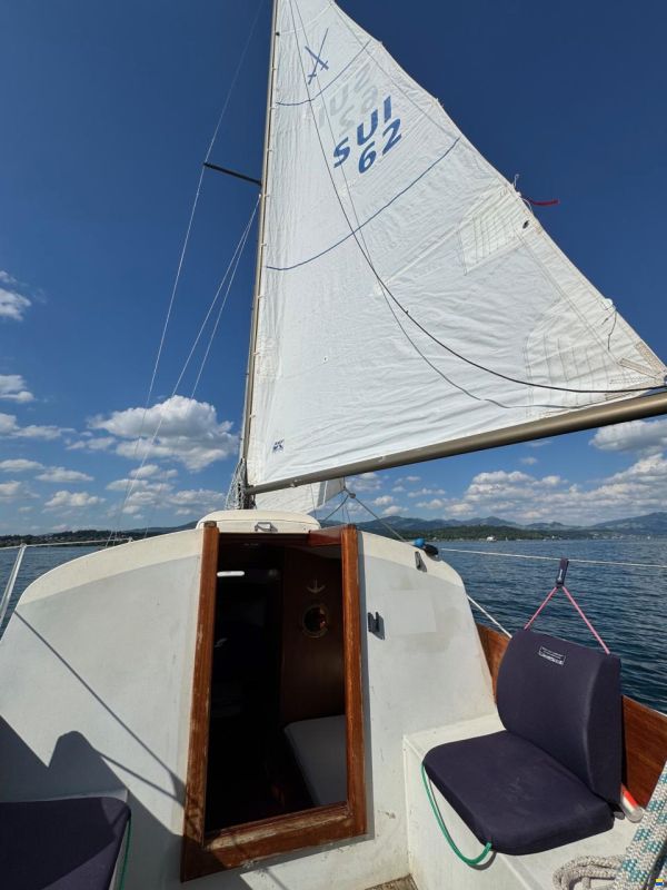 Wuillemin  Rebell M2