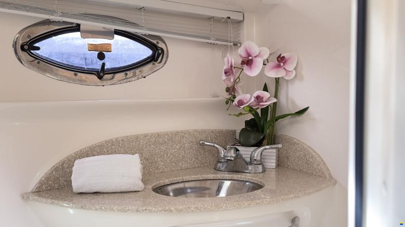 Chaparral 350 Signature