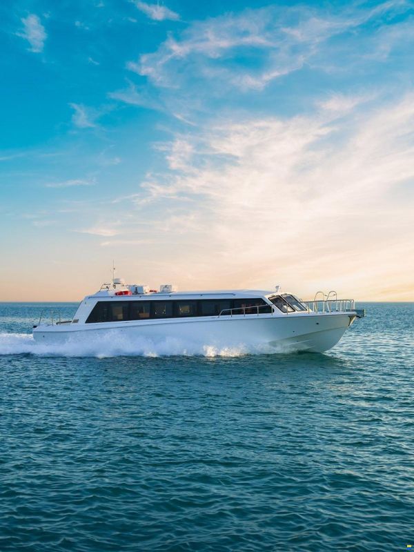 Aldhaen Craft Wave Breaker 530 VIP TRANSPORTER