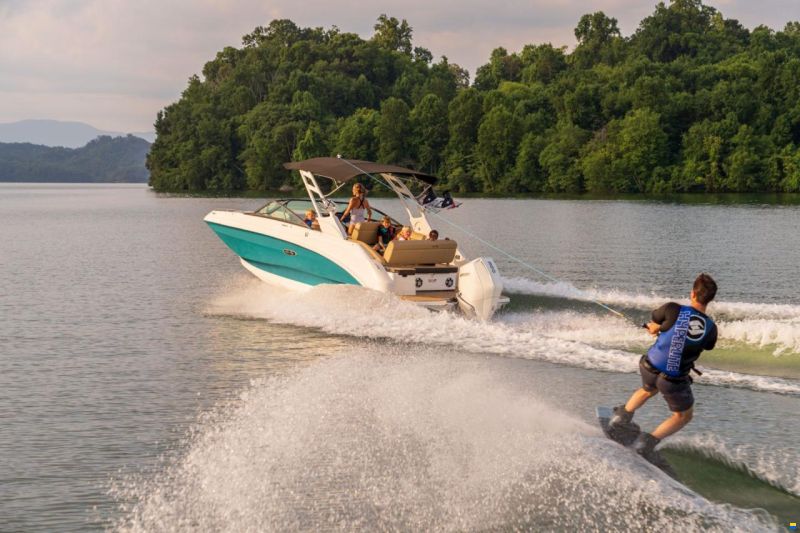 Sea Ray SDX 250
