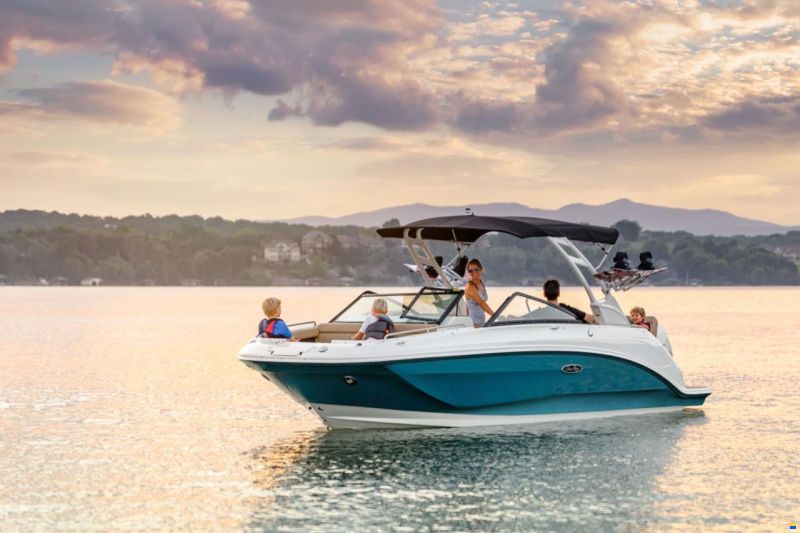 Sea Ray SDX 250
