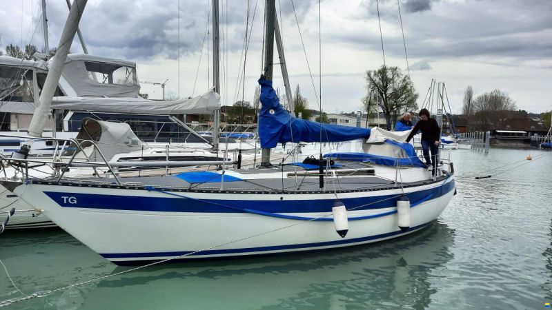 Stella Compass 35
