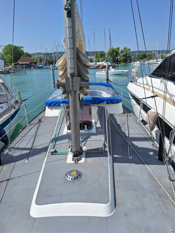 Stella Compass 35
