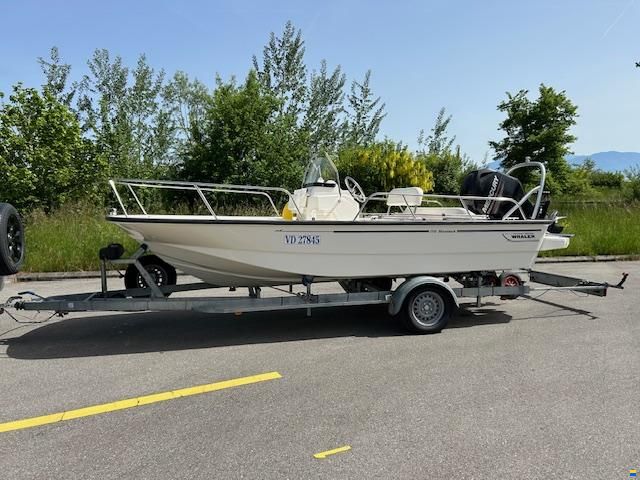 Boston Whaler montauk 170