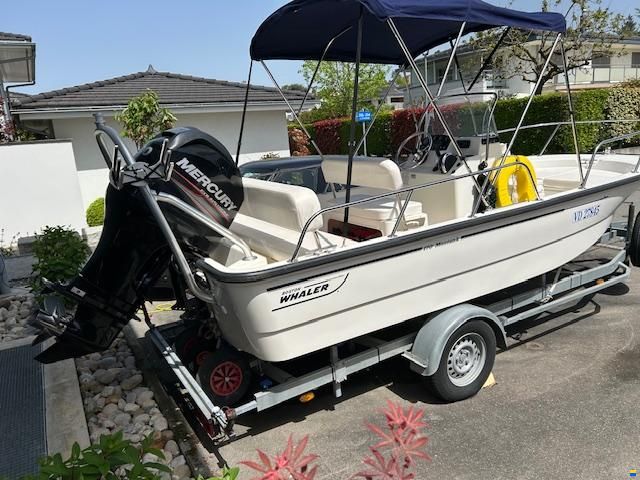 Boston Whaler montauk 170
