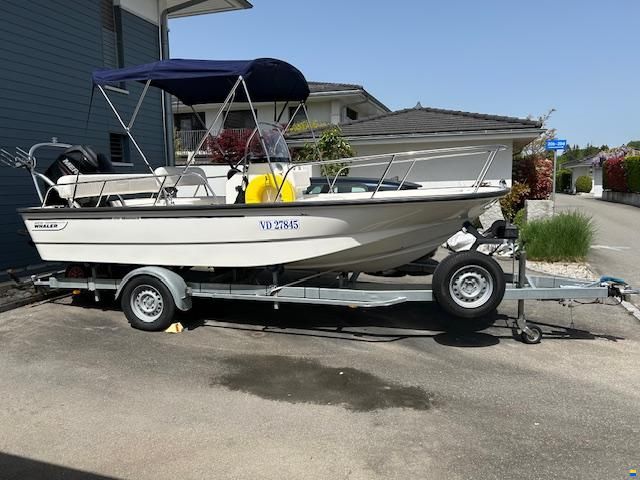 Boston Whaler montauk 170