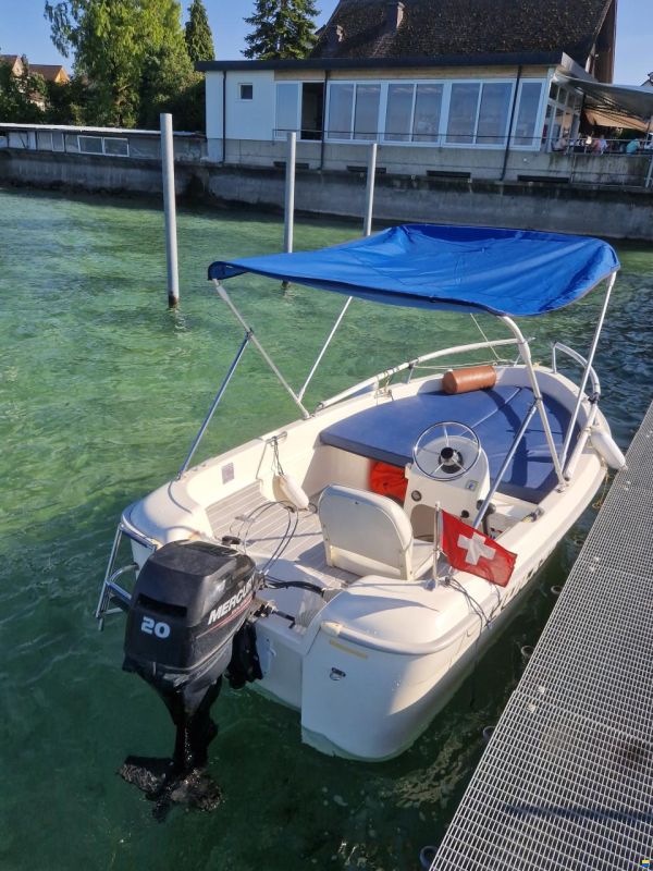 Quicksilver 410 fish