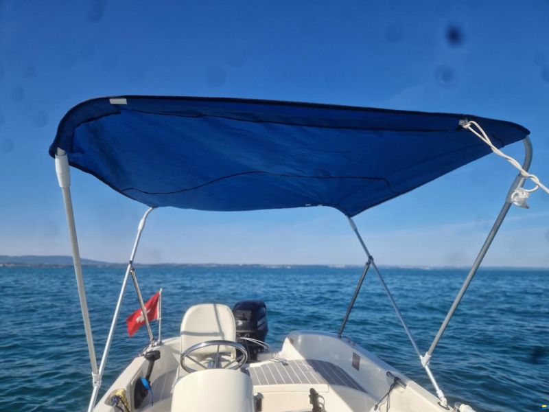 Quicksilver 410 fish