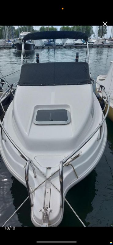Drago 550