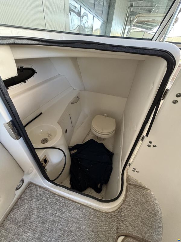 Sea Ray 280 Sundeck