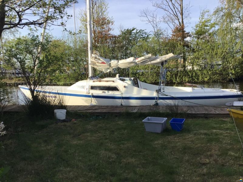 Frauscher H Boot