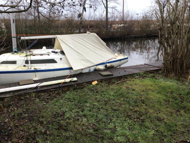 Frauscher H Boot