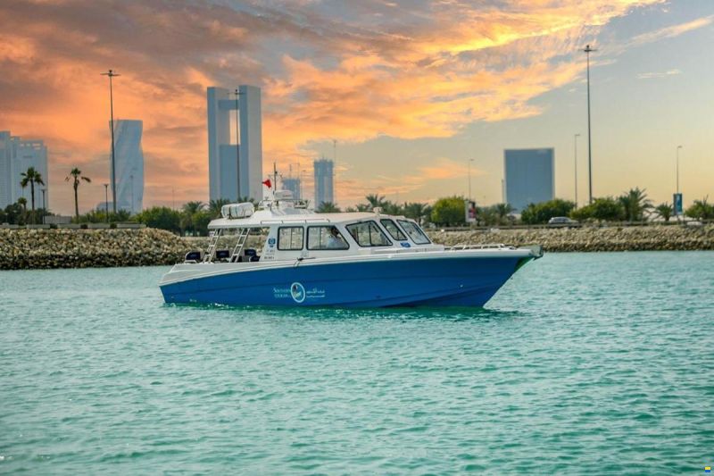Aldhaen Craft Wave Breaker 410 Transporter