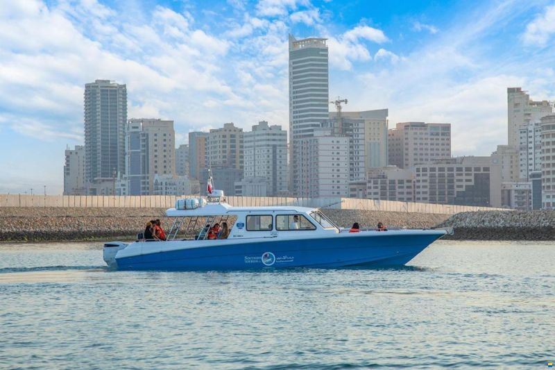 Aldhaen Craft Wave Breaker 410 Transporter