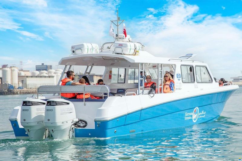 Aldhaen Craft Wave Breaker 410 Transporter