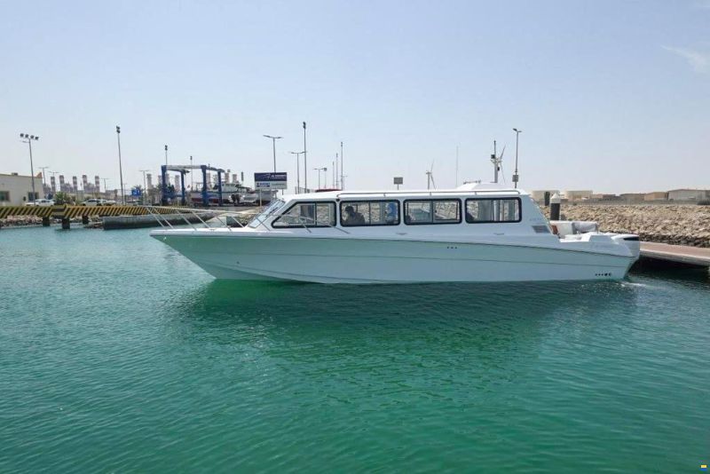 Aldhaen Craft Wave Breaker 410 Transporter