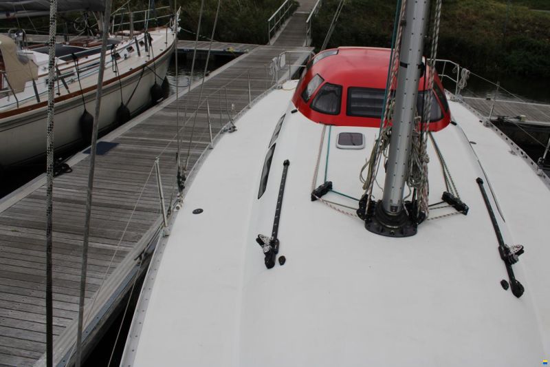 Balta 40