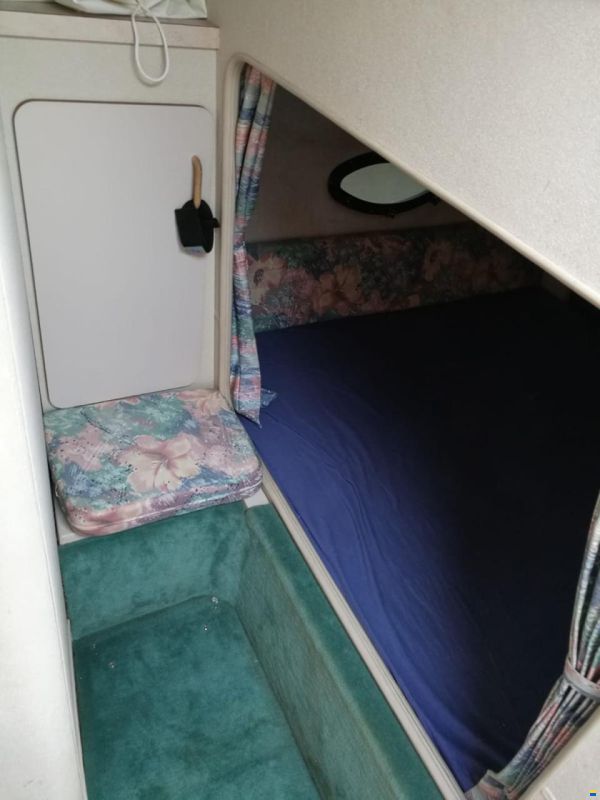 Regal 272 Valanti