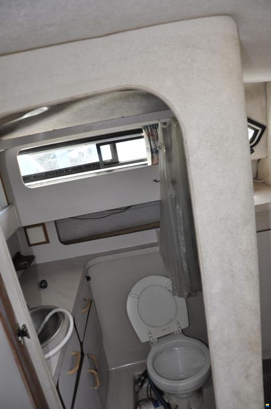 Regal 272 Valanti