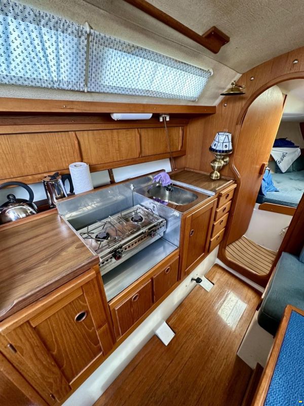 Maxi Pelle Petterson fenix maxi 28