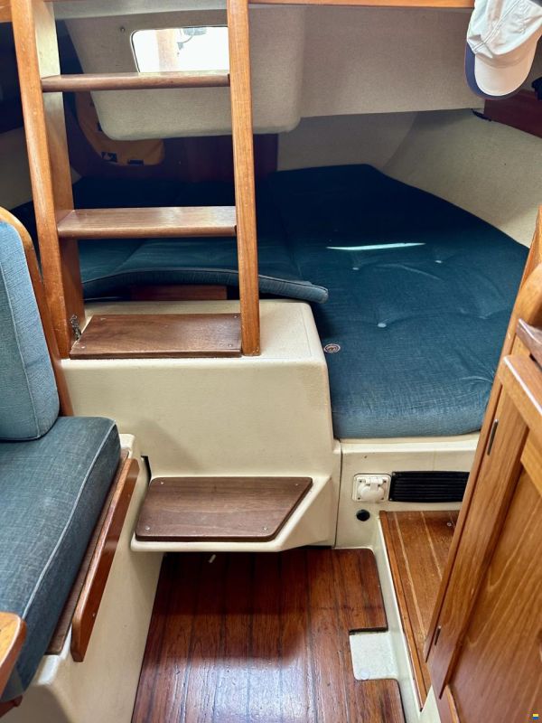 Maxi Pelle Petterson fenix maxi 28