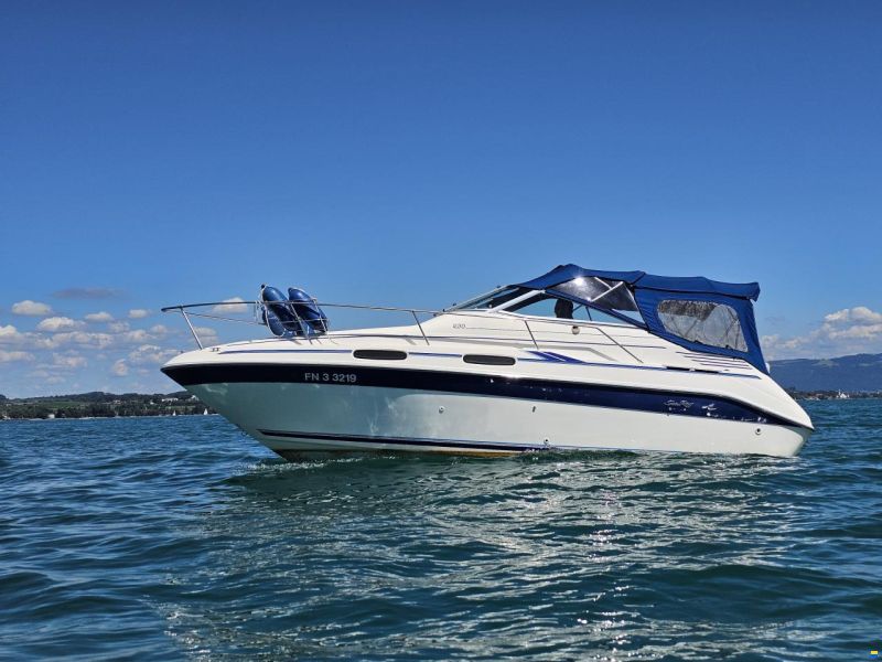 Sea Ray 230