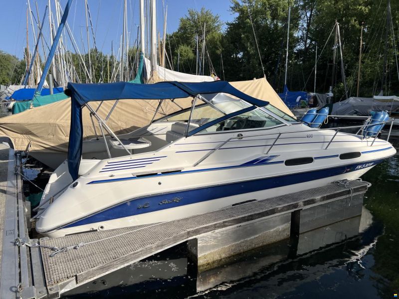 Sea Ray 230