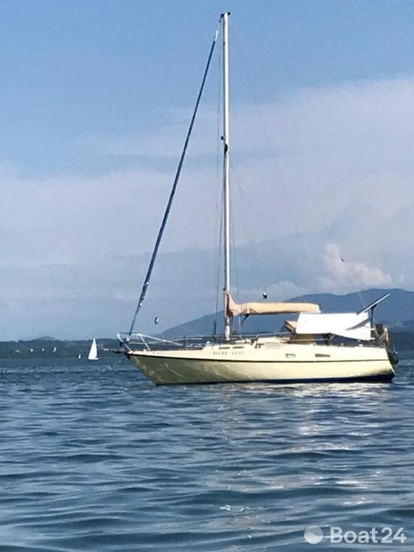 Deerberg Beryll 31