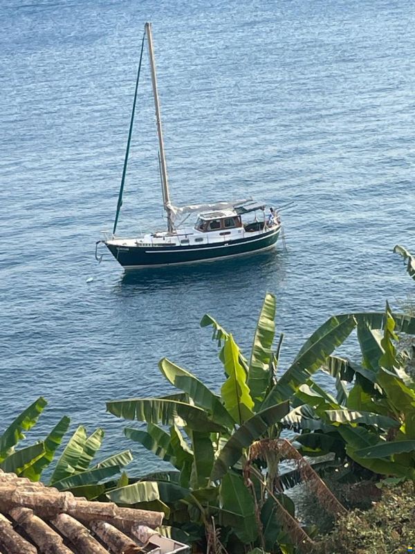 Dartsailer 30