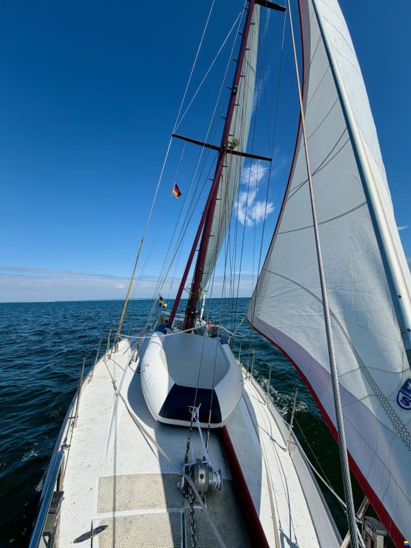 Feltz Skorpion 13m