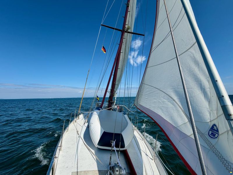 Feltz Skorpion 13m