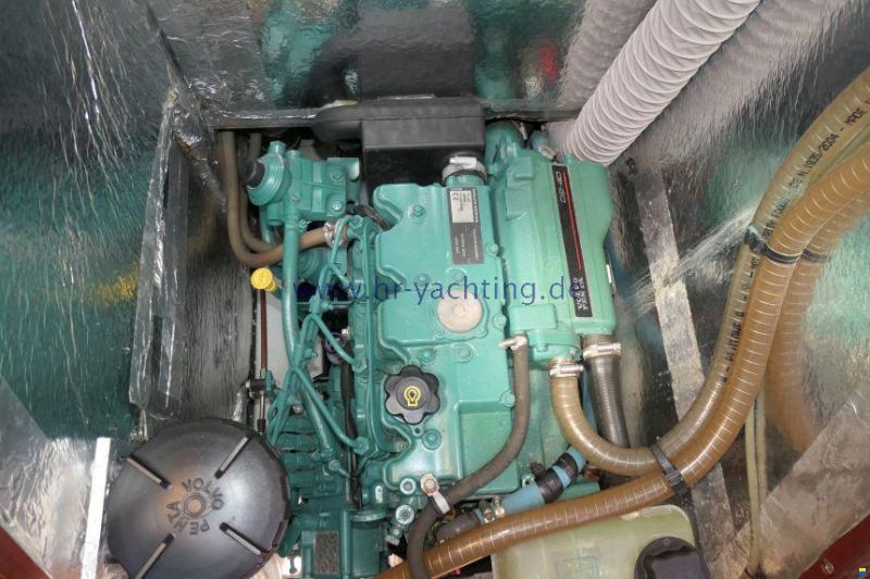 Delphia 37