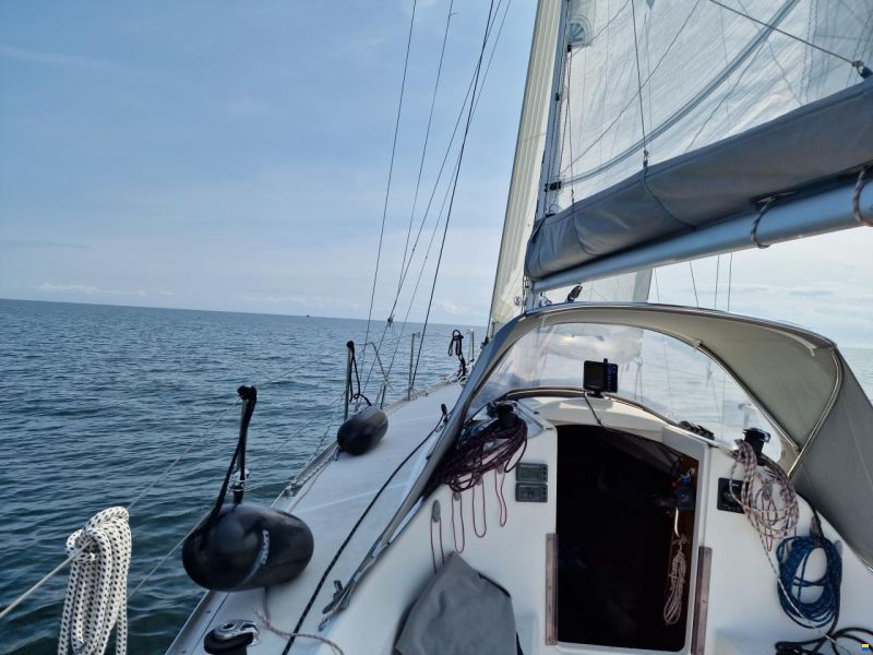 Delphia 28 Sport