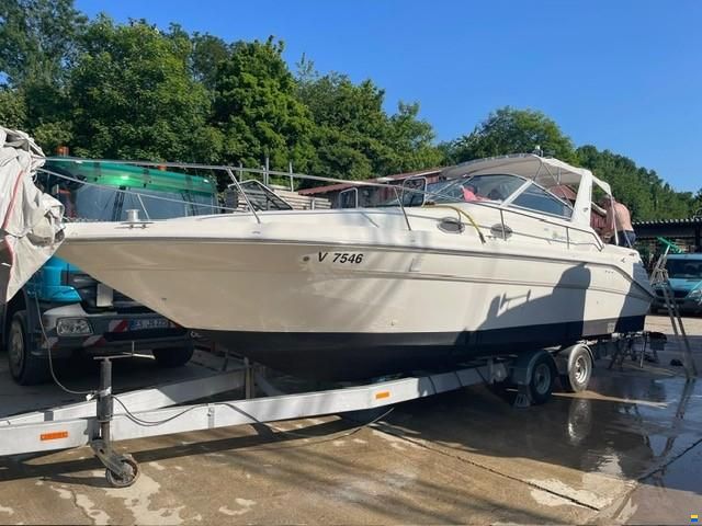 Sea Ray Sundancer 290/290DA