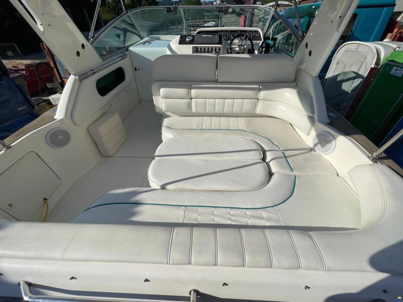 Sea Ray Sundancer 290/290DA