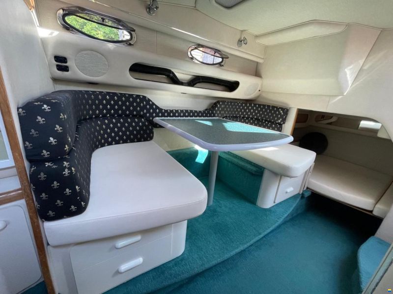 Sea Ray Sundancer 290/290DA
