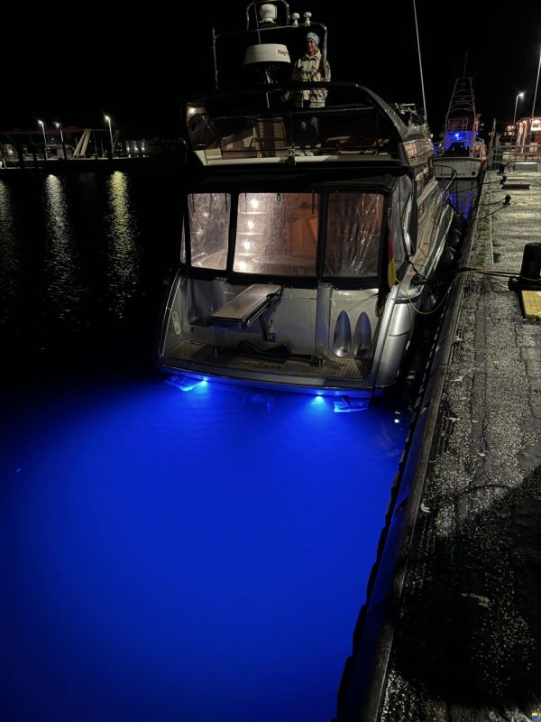 Princess 440
