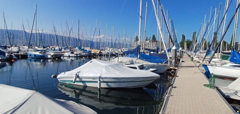 Cranchi Start 21 V8
