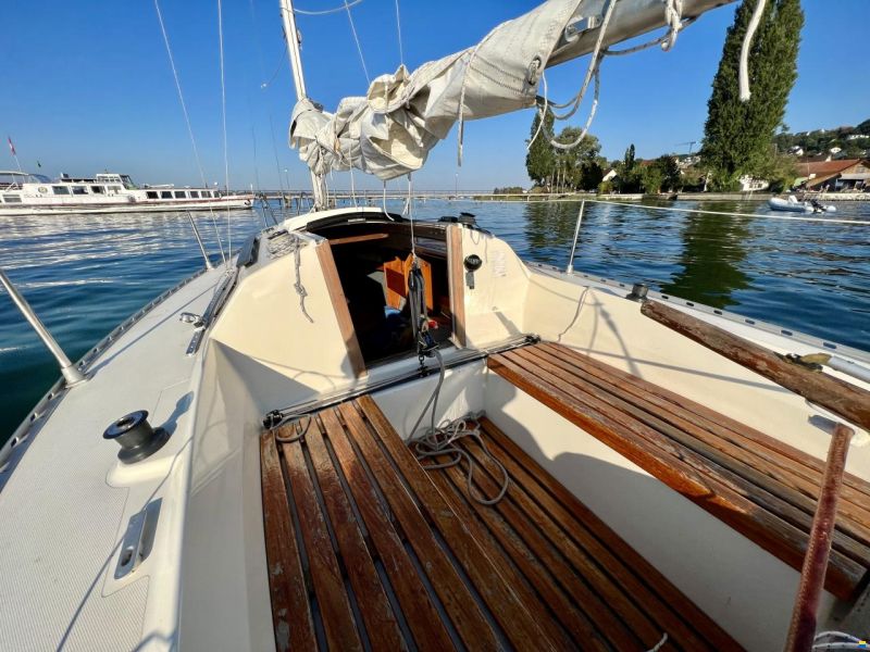 Friendship Yacht Company Familienfreude!