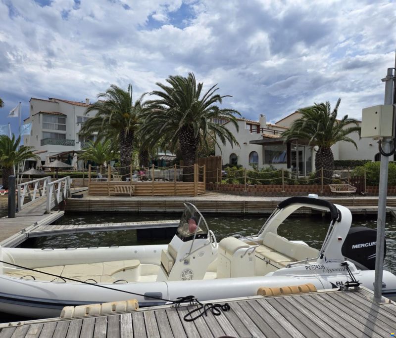 Blackfin Elegance 25