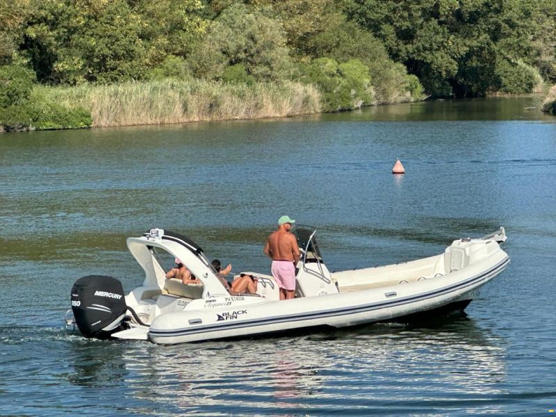 Blackfin Elegance 25