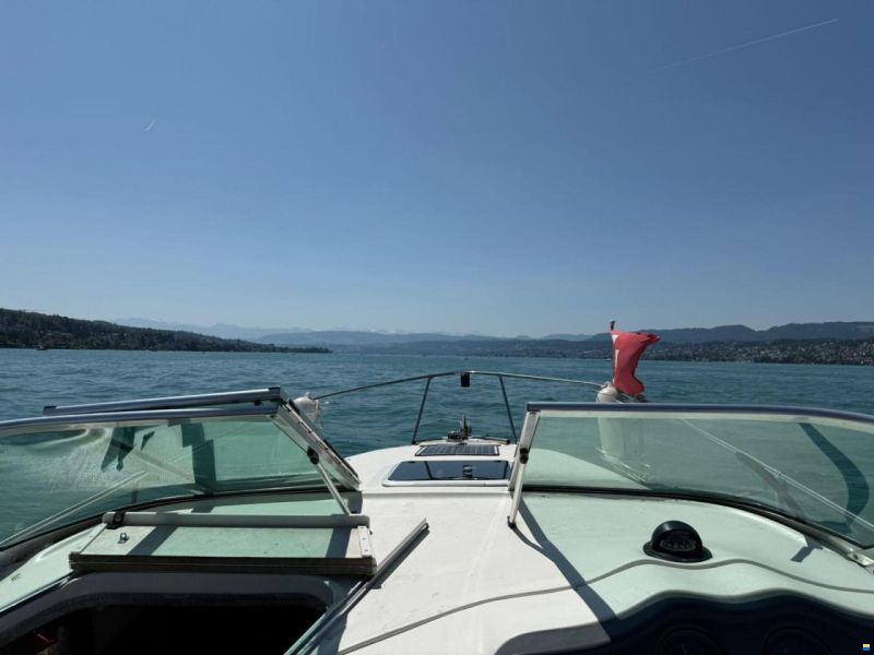 Sea Ray 230DA