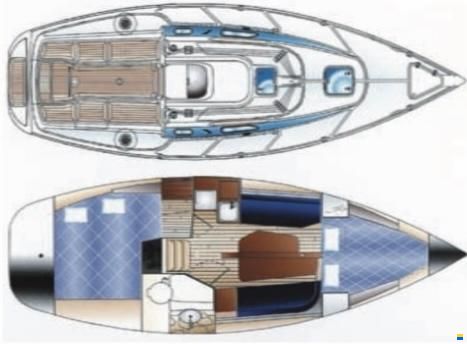Arion 29
