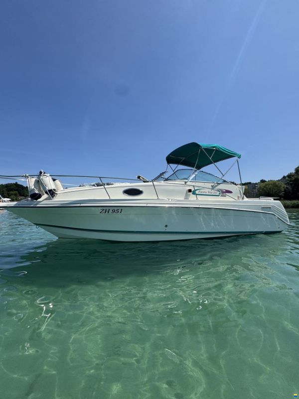 Rinker 265 Fiesta Vee
