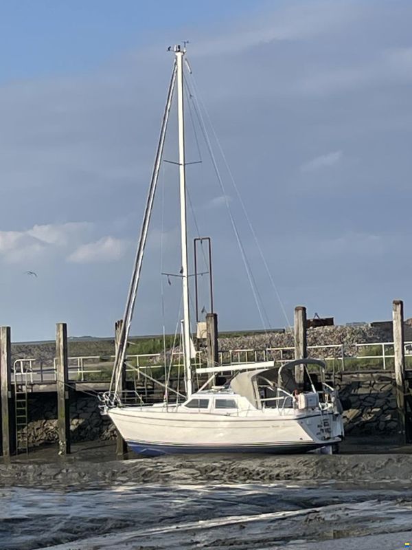 Marine Projects Moody Eclipse 33