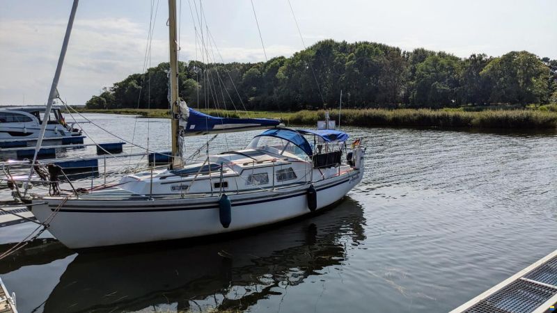 de Kloet Fellowship 28