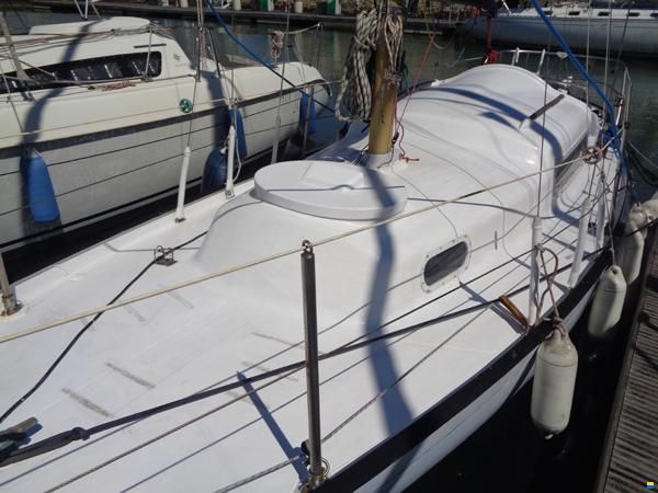 Invicta 26