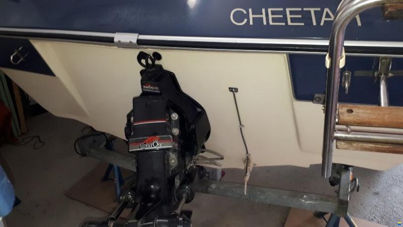 Cheetah 1650