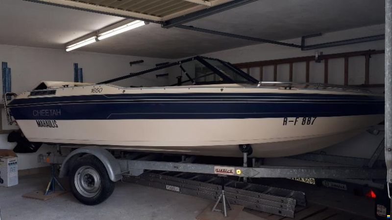 Cheetah 1650