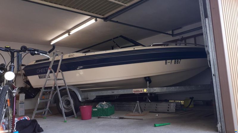 Cheetah 1650